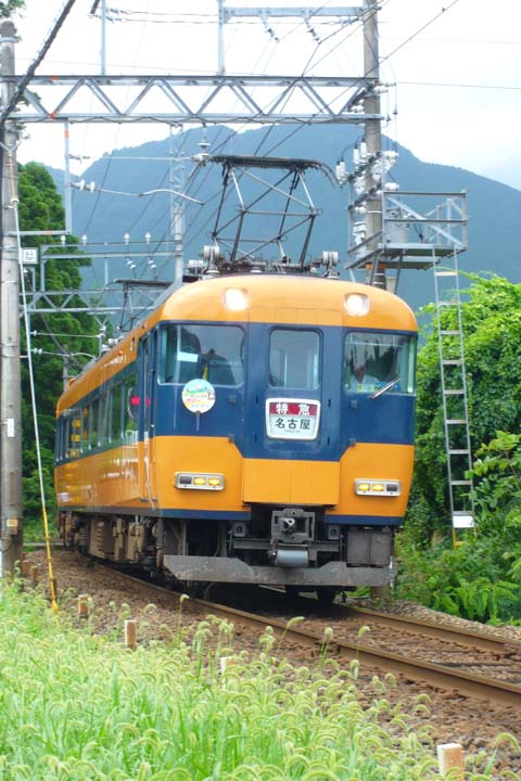 サマーライナー