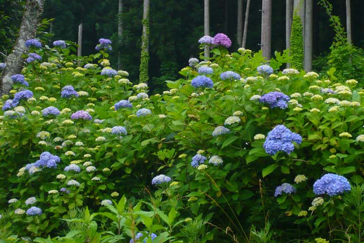 ラストスパート