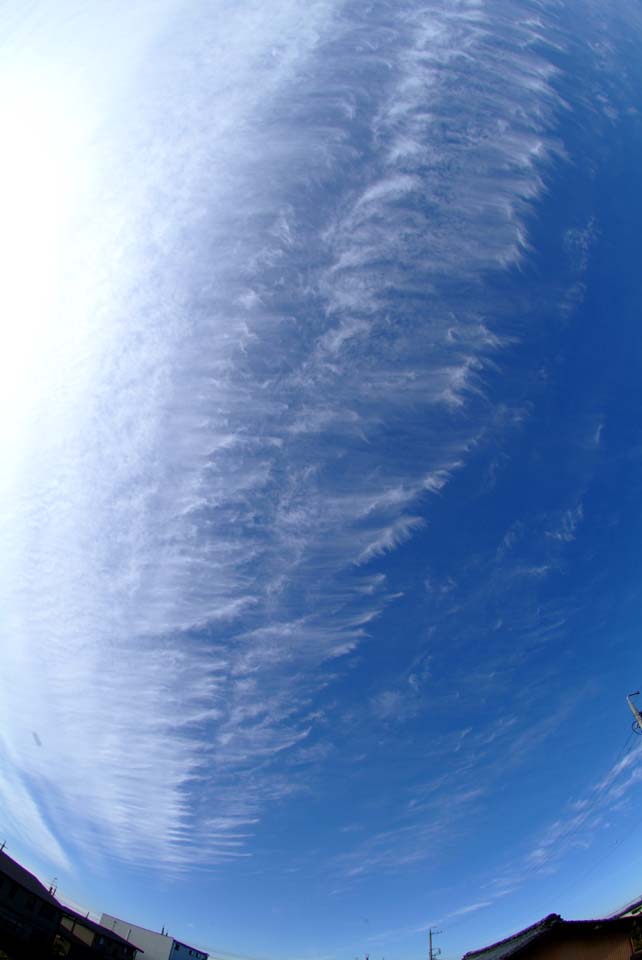 トランスバースライン