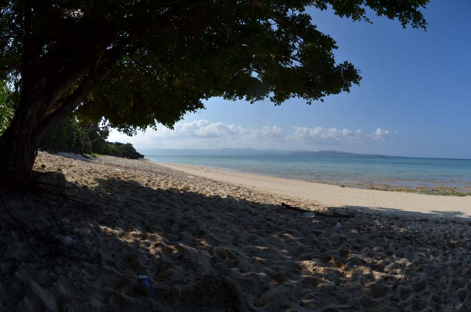 秋の八重山旅行2011